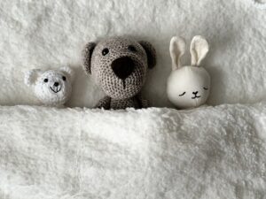 cuddly toys, hd wallpaper, teddy bear-7596017.jpg